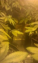 IMAG0074