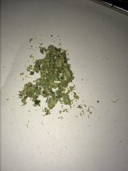 Amnesia fem (раскур)