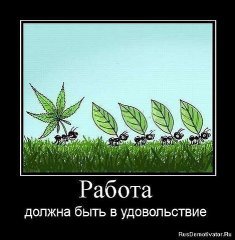 работа