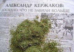 или не выростили.. больше..