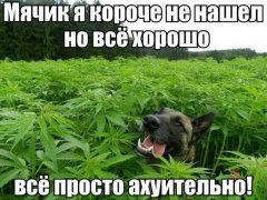 EKSVDhWXcnI