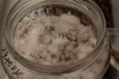 Миц  Blue Meanie. Пахнет как-то по грибному, но с оттенком неприятного.