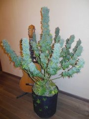 DSCN1071