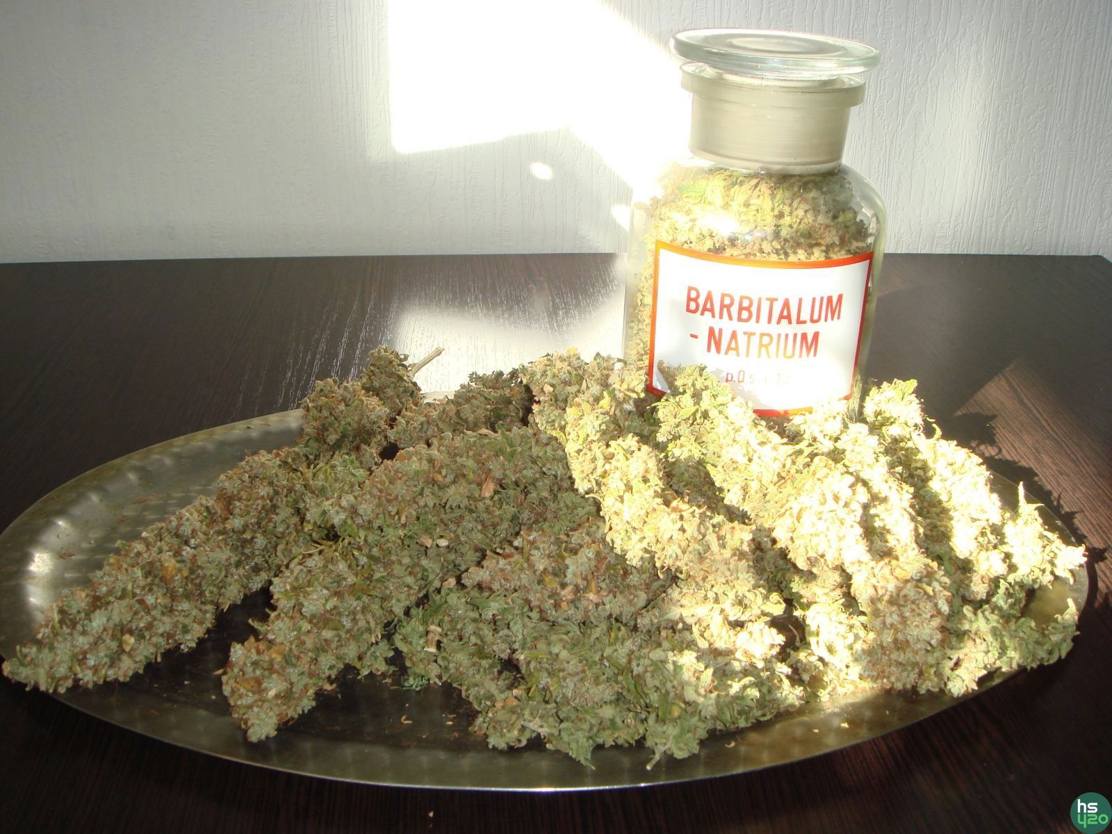 Og Kush \ Reserva Privada