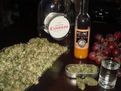 Og Kush \ Grappa )