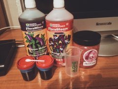 Новый цикл