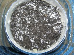 P1270009 новый размер