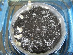 P1290012 новый размер