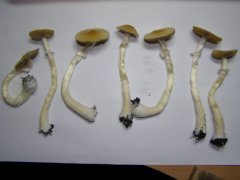 P3030017 новый размер