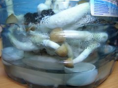 P2110010 новый размер
