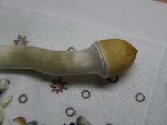P2040005 новый размер