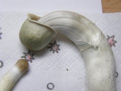 P2040006 новый размер