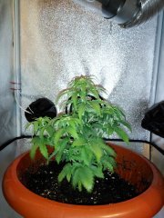 IMG 2016 07 16 010339