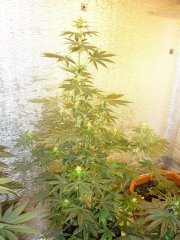 P1020725