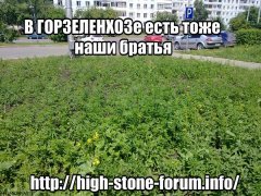 1472985598603