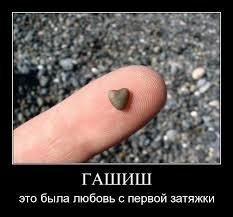 плюшка