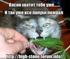 1472986462437
