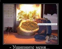 Мечта исполнилась)