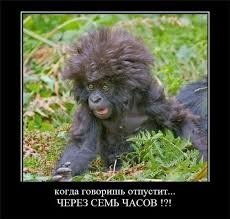 Вася выдыхай....