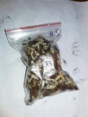 20160930 152845