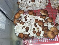 20160925 195833