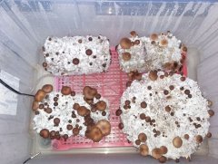 20160925 195911