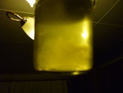 P1020638