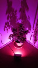 IMG 4572