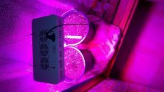 WP 20170104 23 30 54 Pro[1]