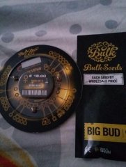 орехи к ауту фотофем bubba kush бонус фотофем big bud