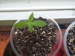 20170515 150919