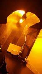 IMG 20170211 181513