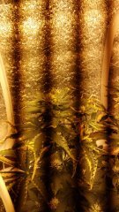 IMG 20170415 093452