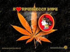 image(13)