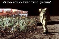 image(15)
