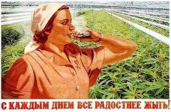 image(23)