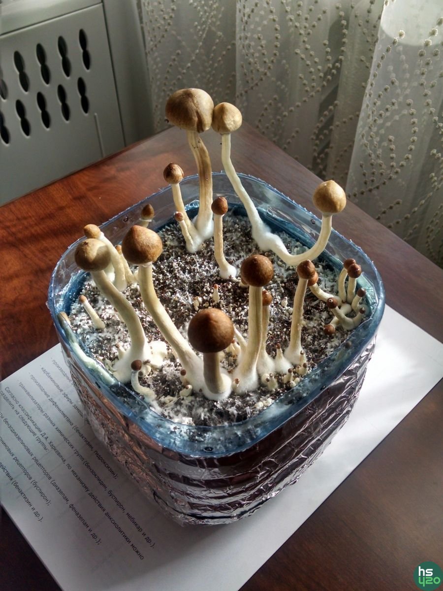 z-strain. первый опыт.