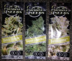 Paradise seeds паковАн