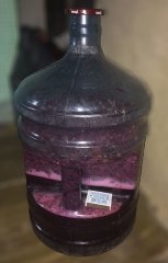 Izabella wine