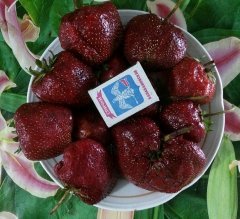 strawberry