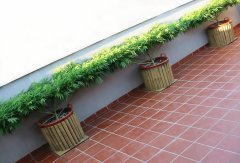 Аккуратность и Красота)