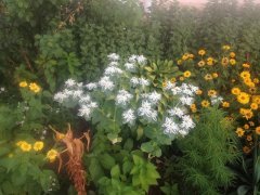 IMG 4185