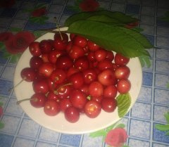 черешня