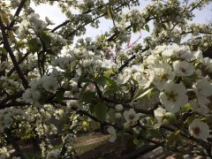 april'16