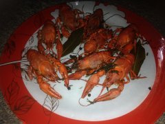 местные лангусты
