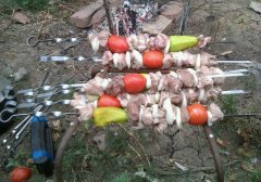 meat