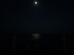 INAL Dark