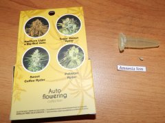 Auto-Collection + Amnesia/ Подарок от Стоуныча