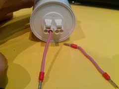IMAG0563
