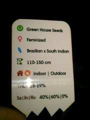 IMAG0487